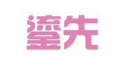 上海鎏先企業(yè)登記代理有限公司